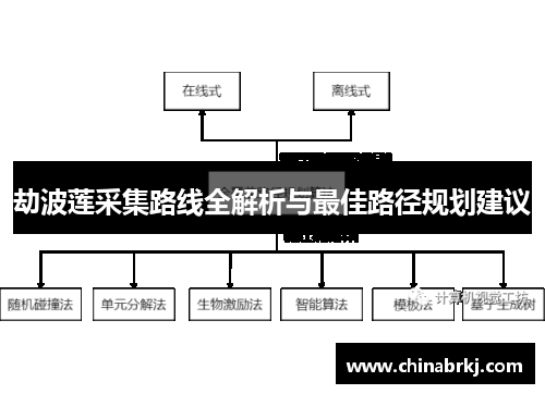 劫波莲采集路线全解析与最佳路径规划建议