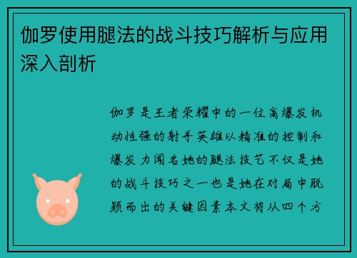伽罗使用腿法的战斗技巧解析与应用深入剖析